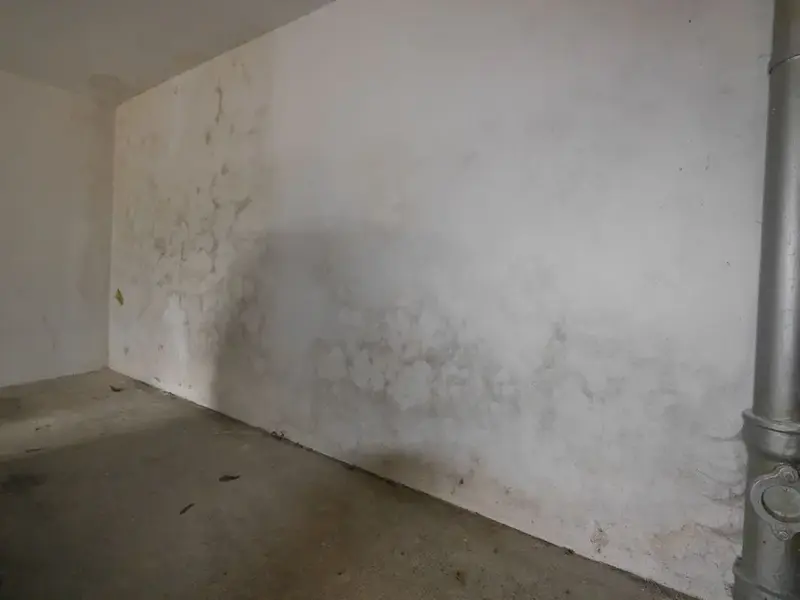 Parete di cantina umida con macchie scure nella parte bassa