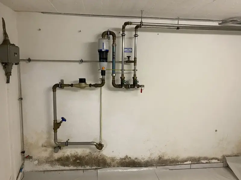 Parete di cantina umida con macchie di muffa